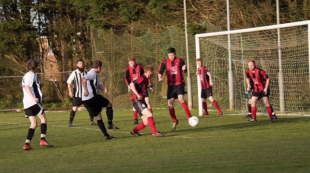 形成了明显 形成了明显