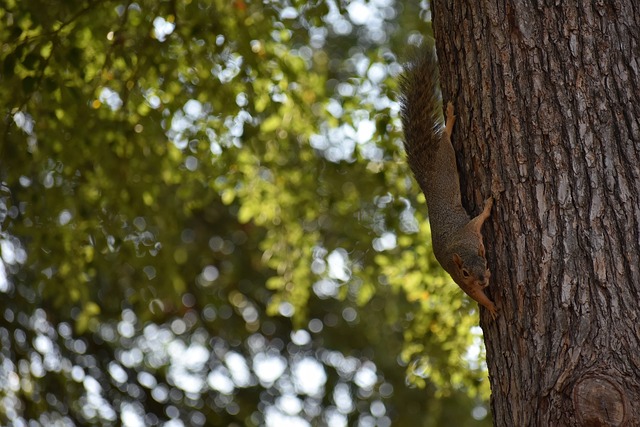 高了球队的 高了球队的
