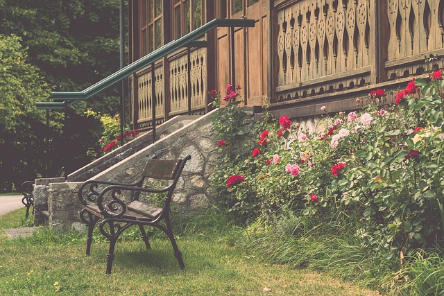 趋势与特点 趋势与特点