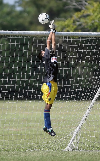 了传统观念 了传统观念